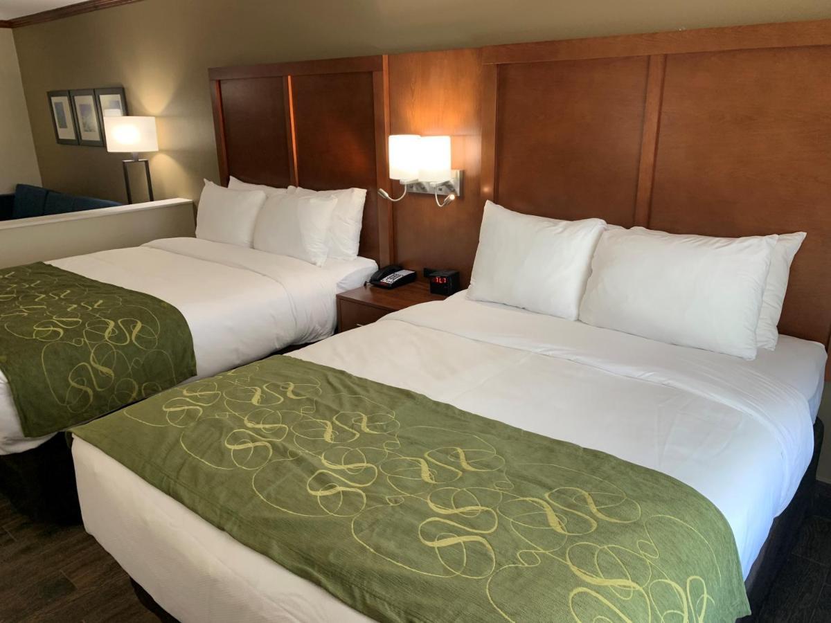 Comfort Suites West Monroe Near Ike Hamilton Expo Center ภายนอก รูปภาพ